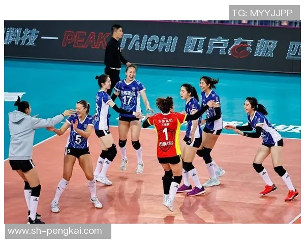 上海排球队个人能力分析与联赛表现评估