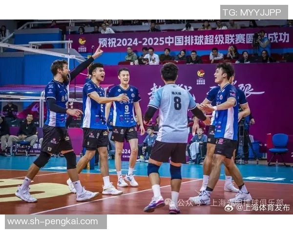 上海排球队技术对比深度解析与发展趋势探讨
