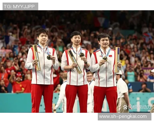 北京乒乓球队精英赛背后的拼搏故事与奋斗历程揭秘