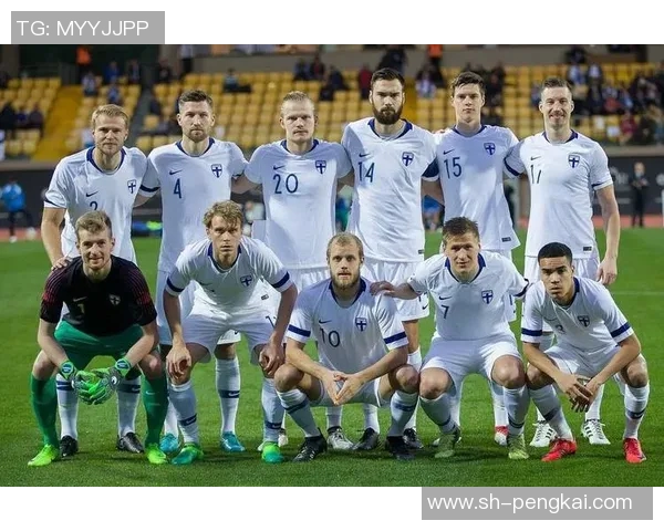 波黑足球明星阵容揭秘探索他们的辉煌成就与影响力