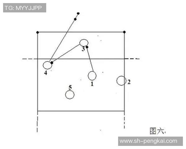 成都排球队战术表现深度分析与数据解读探讨